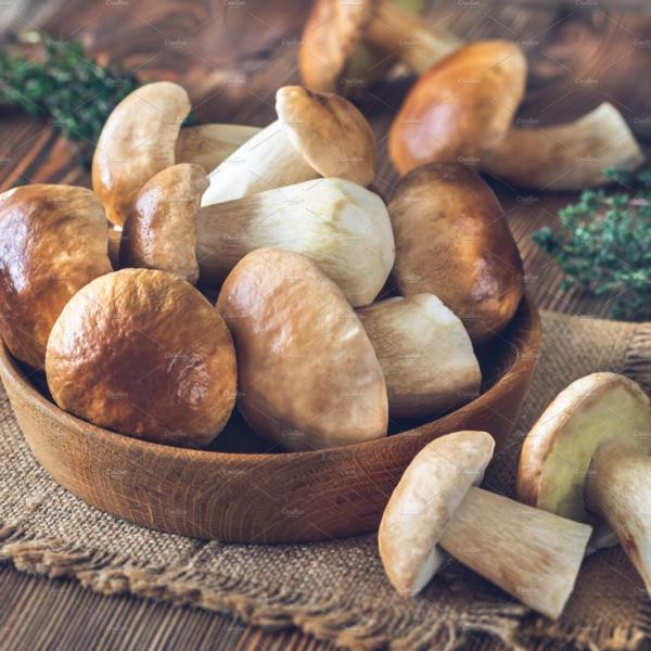 Profumo di Porcini